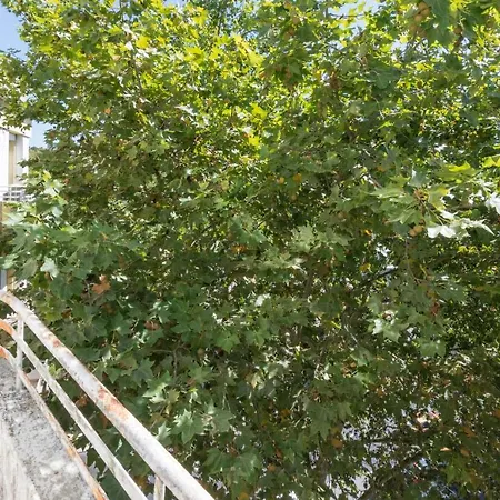Houze_city Center, 5 Flat W/ Sunny Terrace Lisbon